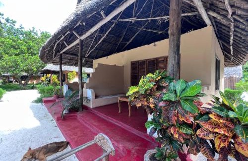 Mafia Island Bed & Breakfast | Mafia Whale Shark Safari Afro Beach