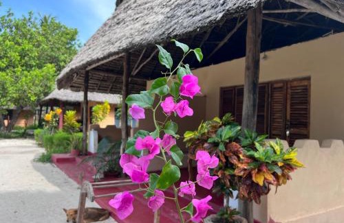 Mafia Island Bed & Breakfast | Mafia Whale Shark Safari Afro Beach