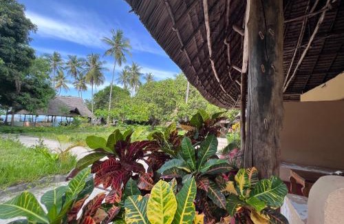 Mafia Island Bed & Breakfast | Mafia Whale Shark Safari Afro Beach