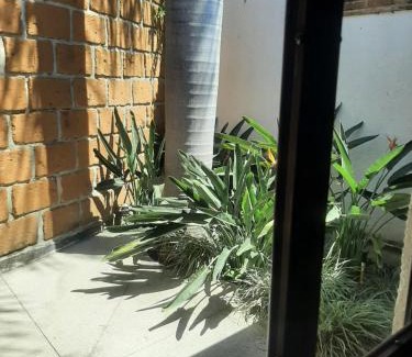 Santa Maria Ahuacatitlan Hotel | Hotel Boutique Edén Cuernavaca s
