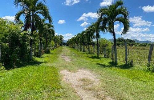 Espinal Villa | Finca Esperanza - Girardot - El espinal
