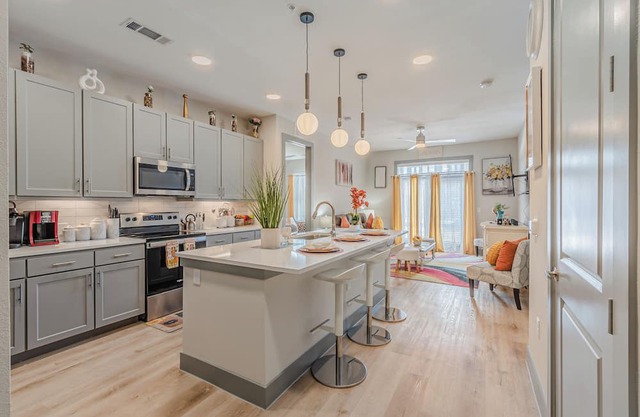 Gorgeous, Brand New 2 Bedroom, 2 Bathroom apartment with King Beds in Dallas