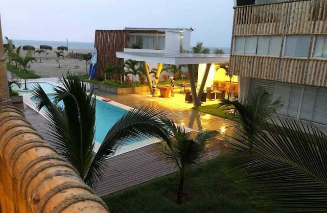 Bocapan palm trees