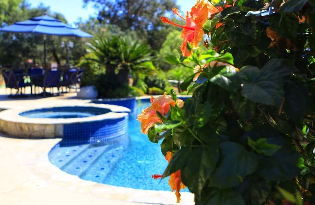 CALIFORNIA DREAMIN' . . . Check Out Our New Winter Rates!