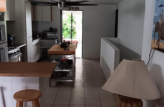 Relaxing environment surrounded by trees near el yunque rain forest