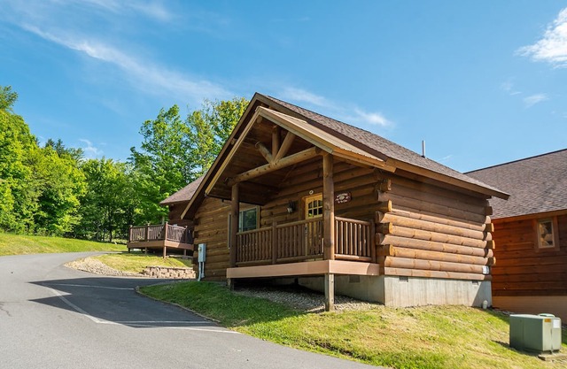 Mountainside Cabin 47-Hot Tub, Dog Friendly