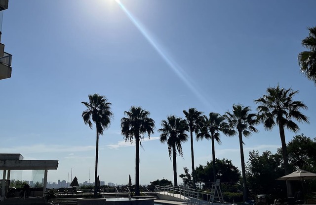 Apartamento Vista Ponte