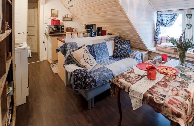 Forest view in the old forest office