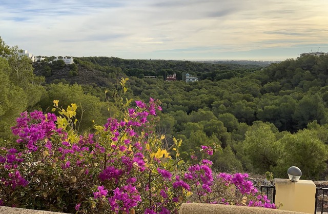 Orihuela - Las Ramblas - Casa Pino