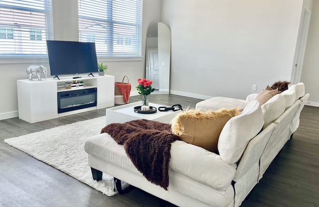 Luxury Apartment Near NRG Stadium!