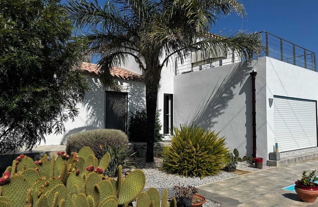 Les Cycas - PONTEILLA