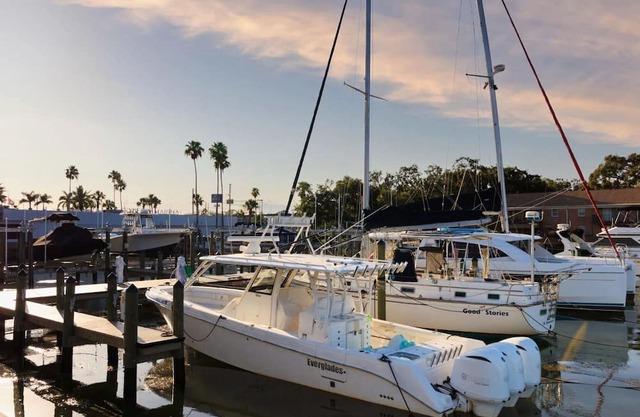 Explore St. Pete's Gems | Artistic Discoveries & Natural Wonders Await