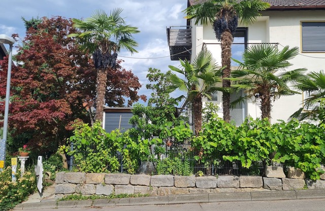 Vacation apartment Am Berg
