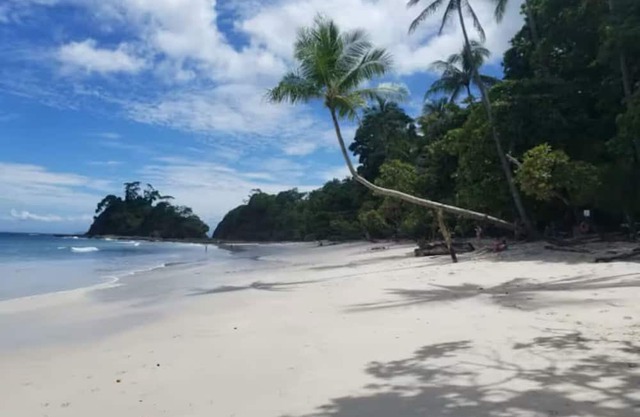 Beachfront, 6bd, Pool, Maid, Cook, SUV's, 7 Kayaks