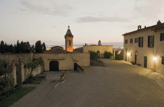 OLIVE TREES - FARMHOUSE ESTATE SAN DONATO
