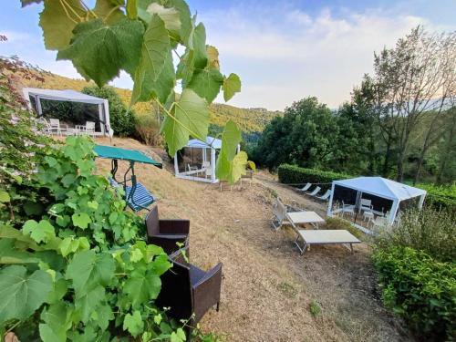 Agriturismo Casentino