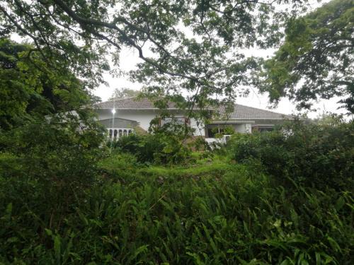 Atlas Guesthouse