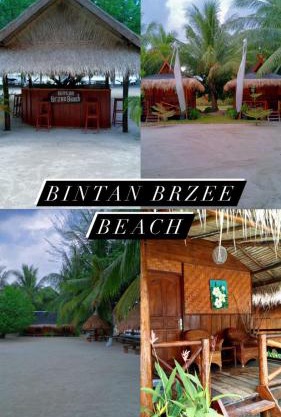 Bintan Brzee Beach in Bintan Island - Bungalow 2