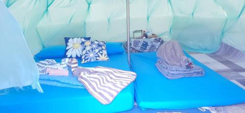 Yafin khaokho Camping