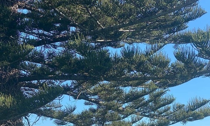 Omokoroa House | Original Omokoroa Bach with sea views- 4 min walk to beach!