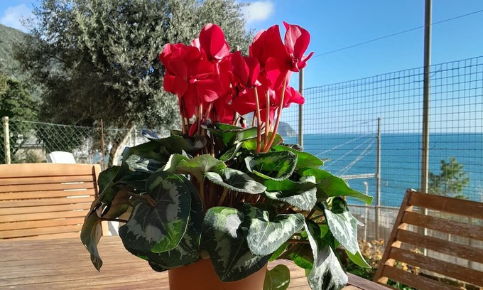 Corniglia Apartment | ARIANNA'S HOUSE ( citra code: 011030-LT-0156