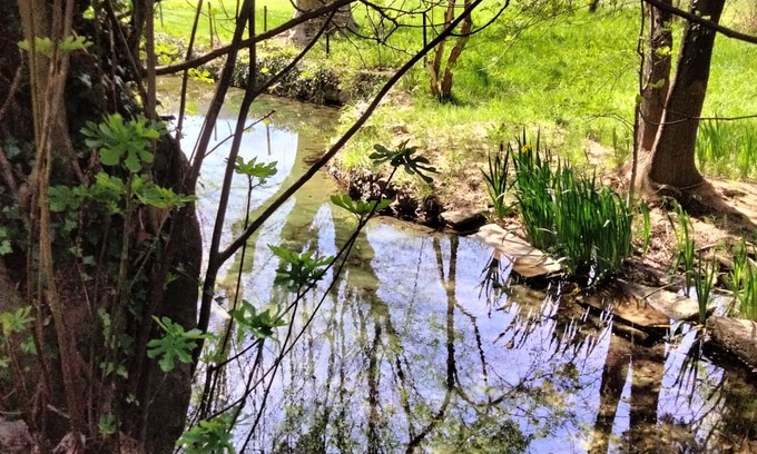 Forcalqueiret Other | La Ruralité en Provence Verte 40 min de la mer Avec Source Ruisseau Oiseaux