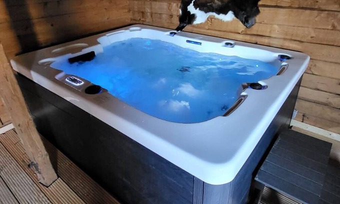 Niedenstein Apartment | The Buffalo - D&B staycation Resort