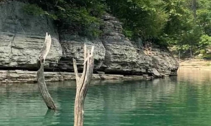 Rogers House | Beaver Dome Geodesic Lake Home 3br 2bath