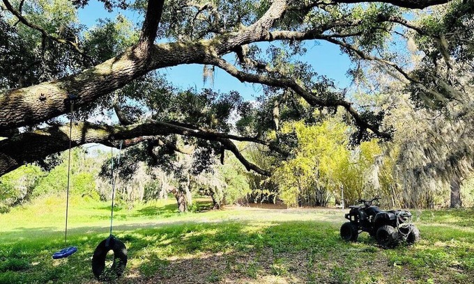 Riverview Other | Bamboo Farm on Bullfrog Creek