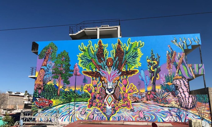 Chihuahua Apartment | Naturaleza