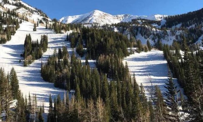 Salt Lake Mountain Resorts Apartment | Iron Blosam Studio Condominium 814 Facing Ski Slopes