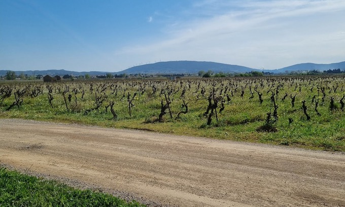 Olonzac Cottage | Cottage Chaleureux Face aux Vignes Pour un Séjour Détente Pour Toute la Famille