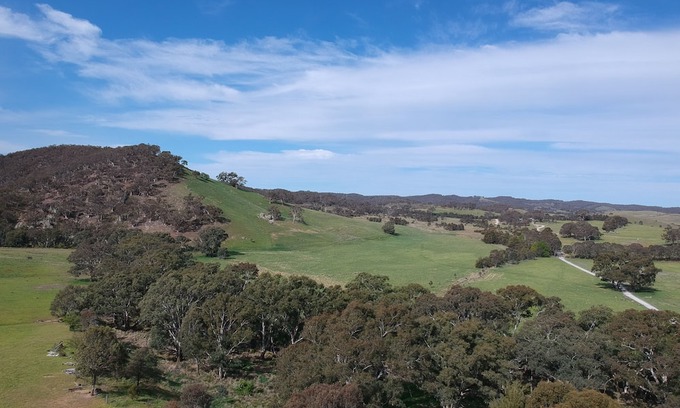 Yass River Cabin | Tiny Home on Yass River, Private Farm Stay - Pet & Horse Friendly