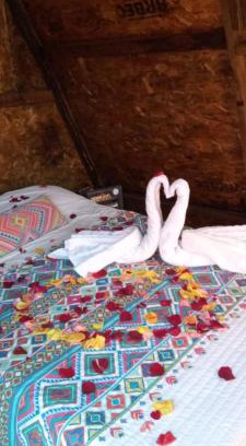 San Sebastian Xolalpa Hotel | Hotel Vicalis Glamping