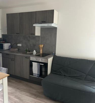 Vieux Vichy Apartment | Appartement avec balcon