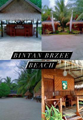 Berakit Cabin | Bintan Brzee Beach in Bintan Island - Bungalow 4